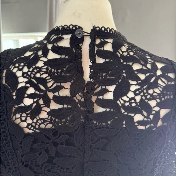Elegant Black Lace Crop Top - Picture 5 of 7